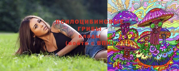 винт Дмитров