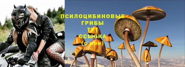 герыч Дмитровск