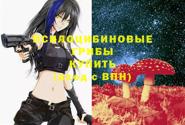 первитин Дмитриев
