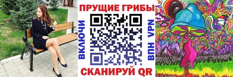 МЕГА   Онега  Галлюциногенные грибы Cubensis  купить закладку 